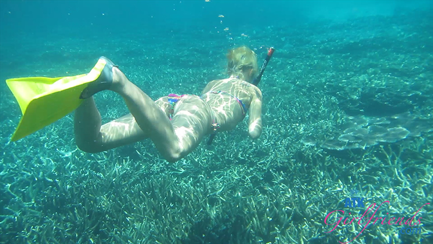 A snorkel dive in paradise!