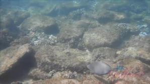 You have a great day with Winter!